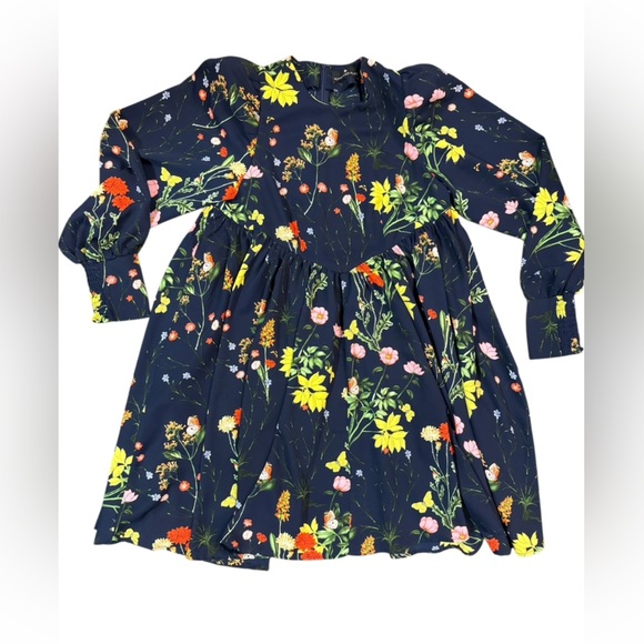 Tuckernuck Pomander Place Wildflower Spencer Dress w/ Puff Sleeves Size Medium - Picture 2 of 9